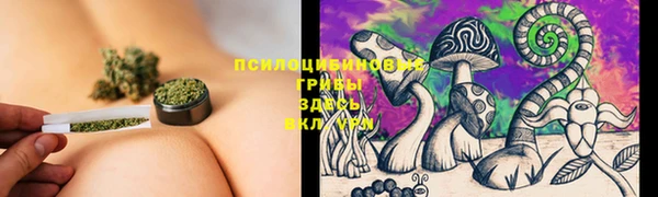 винт Бородино