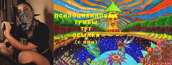бошки Бугульма