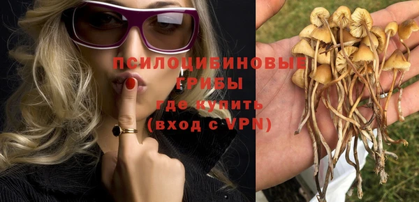 бошки Бугульма