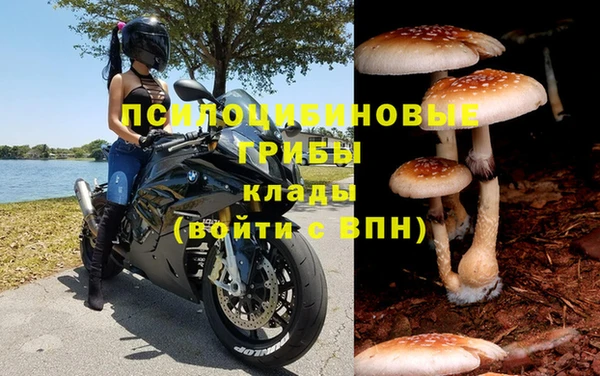 винт Бородино