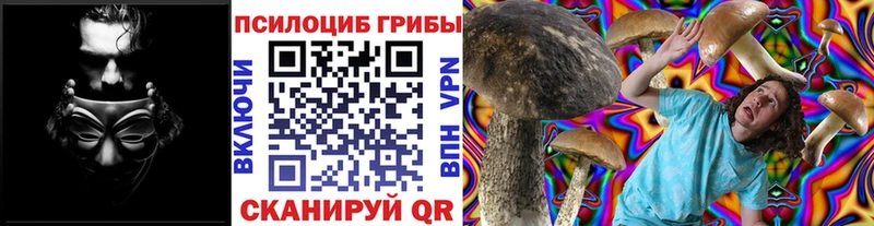 mega маркетплейс Калининград Псилоцибиновые грибы прущие грибы