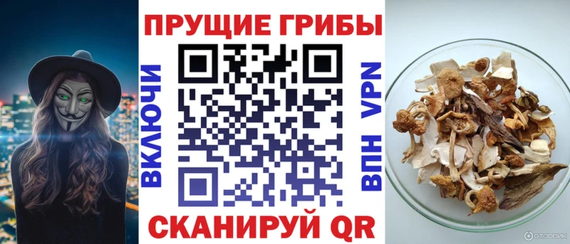 Галлюциногенные грибы GOLDEN TEACHER Калининград
